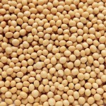 challenging-jigsaw-puzzle-soybean-japanese-2