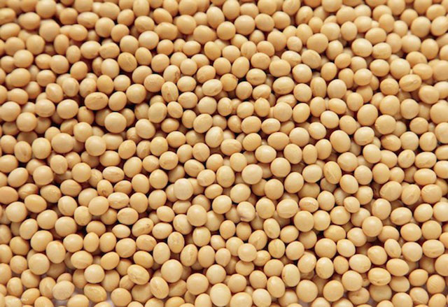 challenging-jigsaw-puzzle-soybean-japanese-2