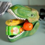 dino-case-lunch-box