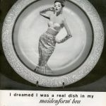 dish maidenform bra