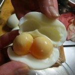 double yolk eggs