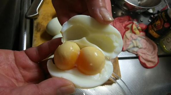 double yolk eggs