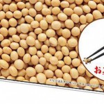 featured-challenging-jigsaw-puzzle-soybean-japanese-1