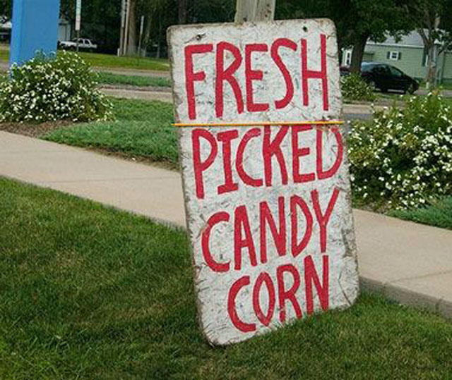 fresh-picked-candy-corn