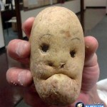 funny-fun-humor-human-face-alike-shape-potato-pic-pics-image-images-photos-pictures-600x