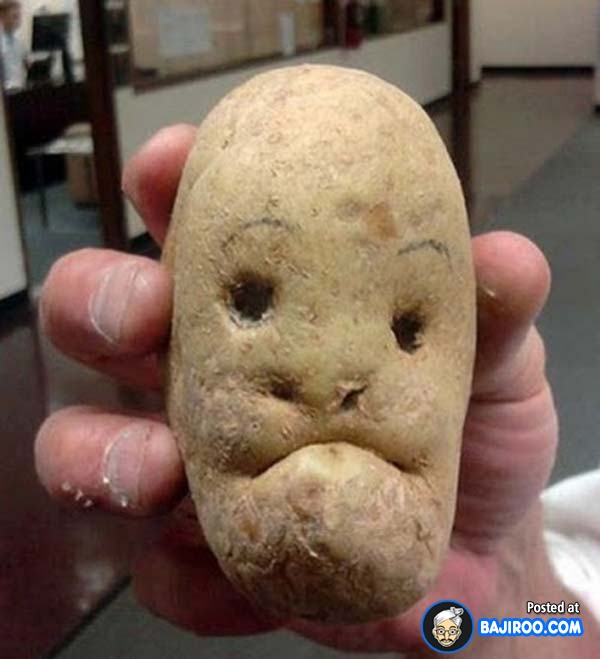 funny-fun-humor-human-face-alike-shape-potato-pic-pics-image-images-photos-pictures-600x