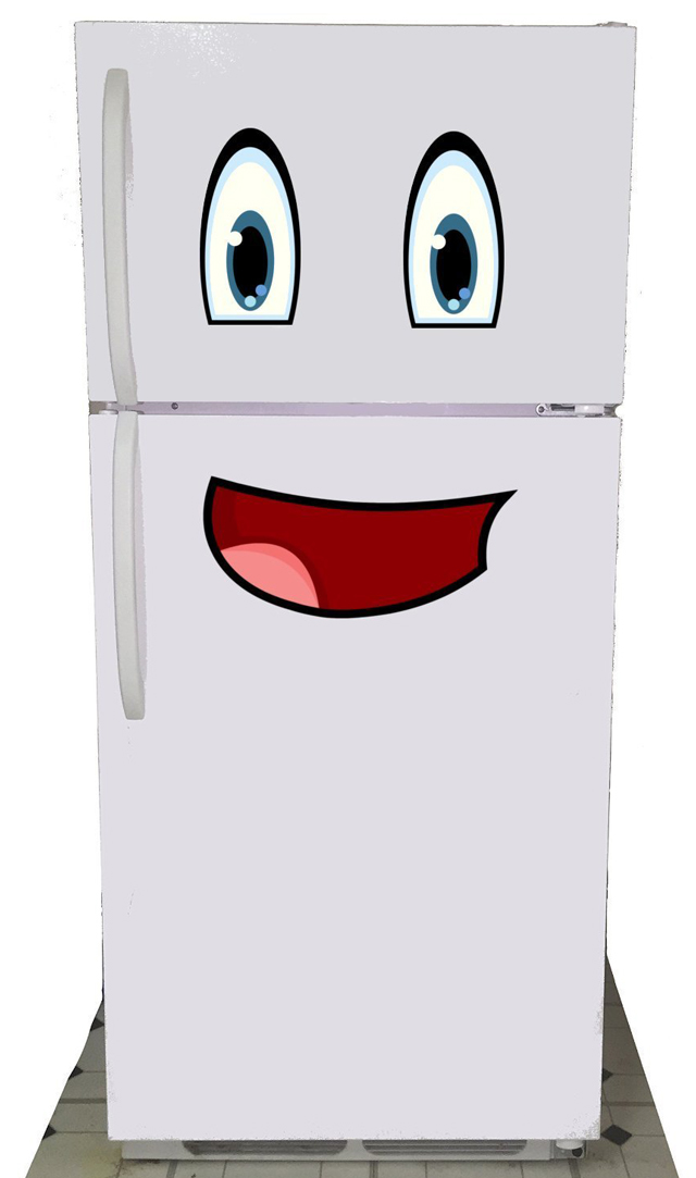 refrigerator face