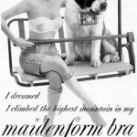 highest mountain maidenform bra