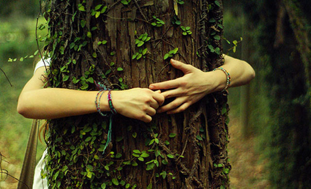 hug-a-tree-social