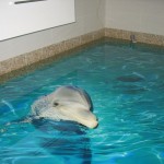interior-design-ideas-3d-ocean-epoxy-polimer-floors-3
