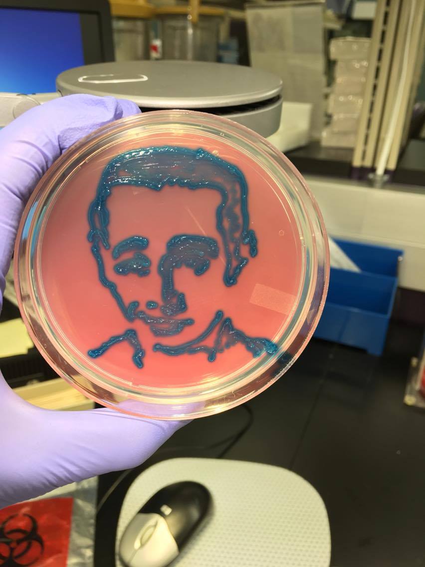 Pee-wee in a petri dish