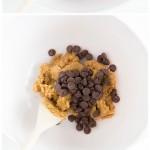 recipe for one chocolate chip cookie