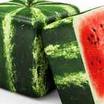 square-watermelon-featured