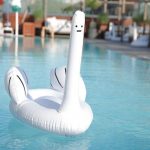 swan-pool-float