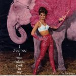 tickled pink maidenform bra
