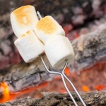 toasted_marshmallow