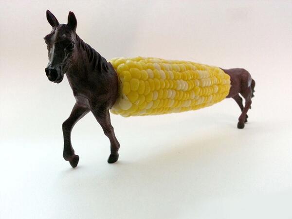toy animal corn on the cob