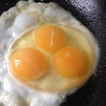 triple-yolk-egg