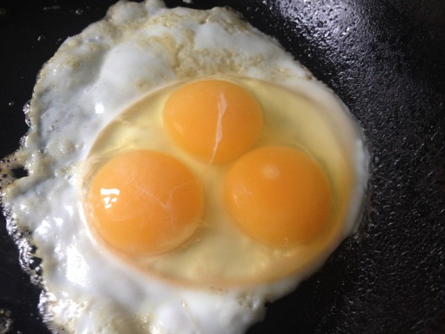 triple-yolk-egg