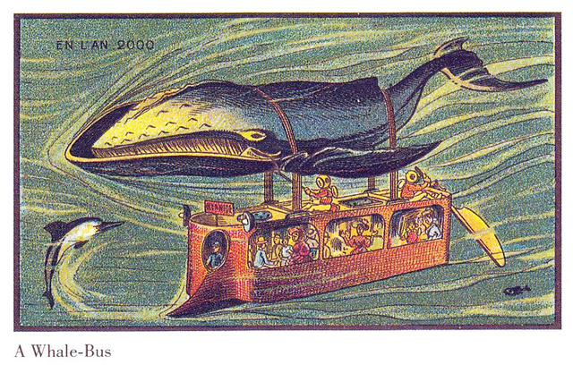 whale-bus